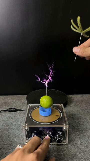 Lightning + Lemon + Plants