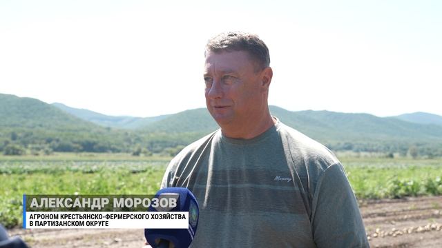 Приморские аграрии приступили к уборке урожая и обещают рекордные показатели.