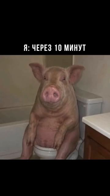 Copy_82AABD4D-D739-44FE-AC79-6BBBC3EACF86
