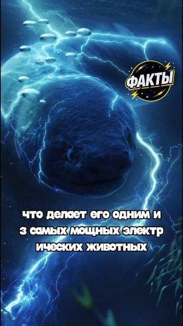 10 фактов часть 81