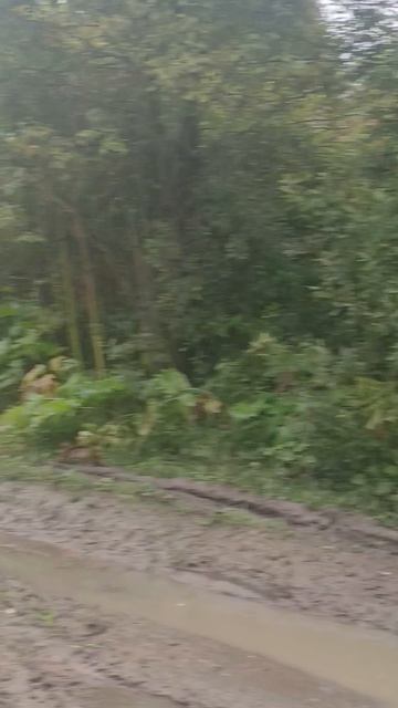Джип застрял в грязи в глуши