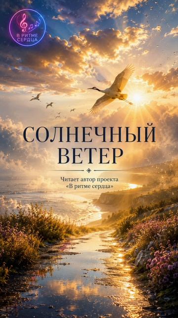 Солнечный ветер