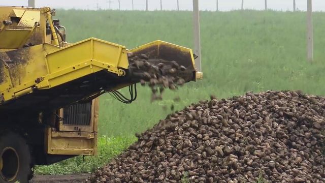 Сахарный завод в Заинске вошел в активную фазу работы