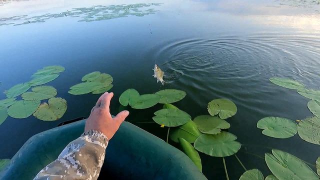 Утро на озере Песьяново.