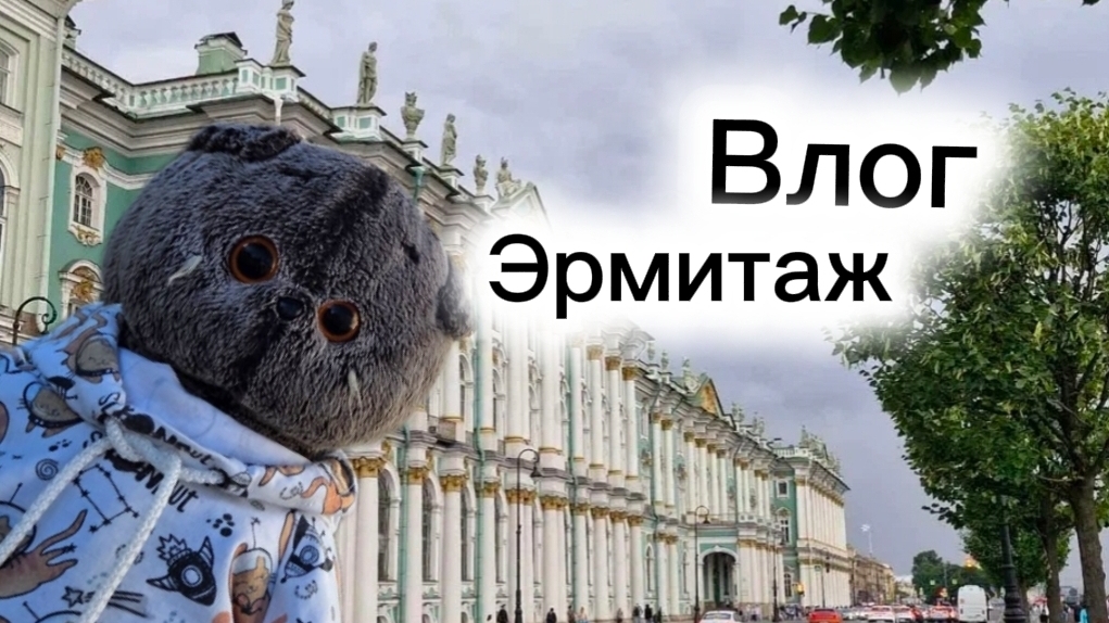 Мы в Питере??? ☺😄Влог из Эрмитажа!