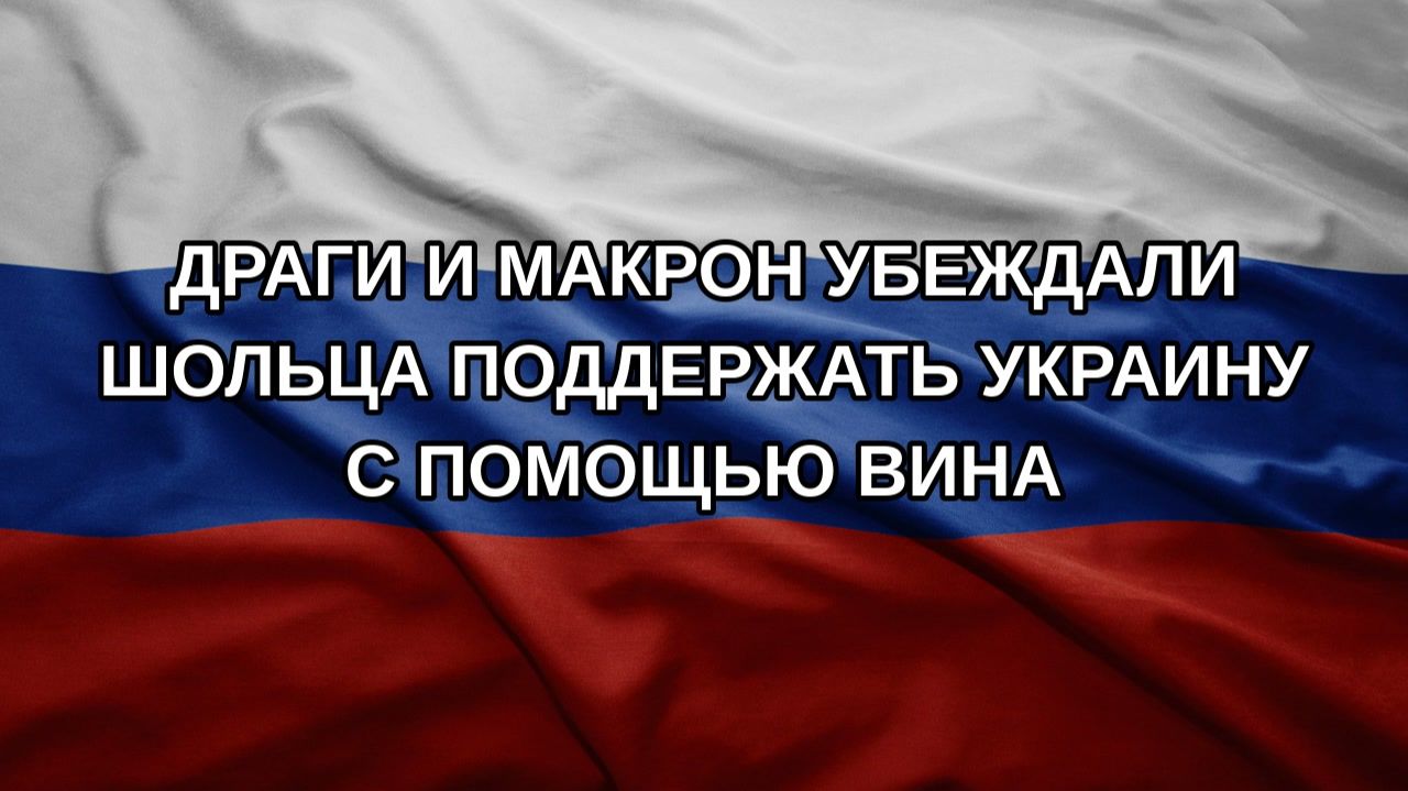 Драги и Макрон убеждали Шольца поддержать Украину с помощью вина
