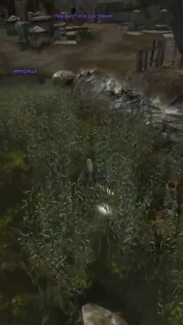 А у вас так было_🤔#vilmarionv #gaming #games #game #witcher #old #ведьмак #игры #nostalgia #oldgame
