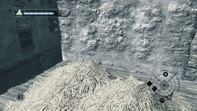 Assassins Creed. Часть 5