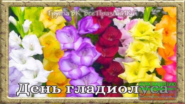 25 АВГУСТА.СЕГОДНЯ ДЕНЬ ГЛАДИОЛУСОВ.ДАРИТЕ ЖЕНЩИНАМ ЦВЕТЫ,ДАРИТЕ ЖЕНЩИНАМ УЛЫБКИ...