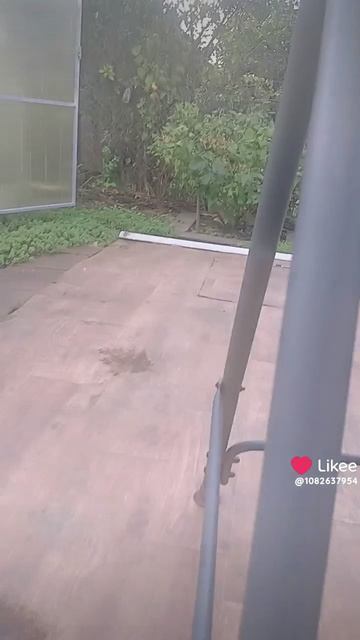 1000001177.mp4