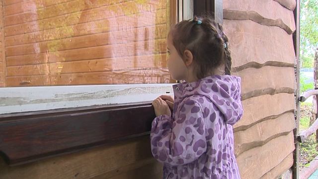 Пополнение случилось сразу в нескольких вольерах нижегородского зоопарка «Лимпопо»