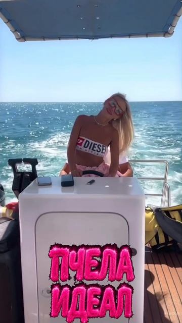 Пчела - Идеал #Пчела #ПчелаИдеал #Идеал #Pchela #PchelaIdeal #Пчела2026 #ПчелаНоваяПесня #ПчелаНовин