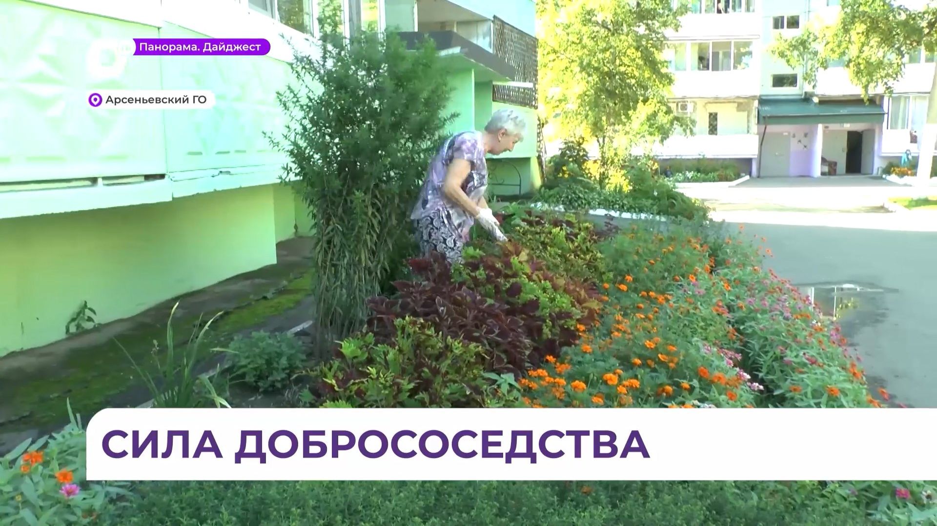 В Арсеньеве благоустраивают дворы благодаря инициативным жителям