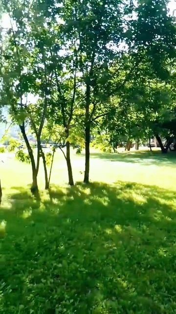 1000244241.mp4