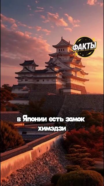 10 фактов часть 76