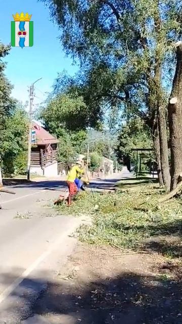 Обрезка деревьев