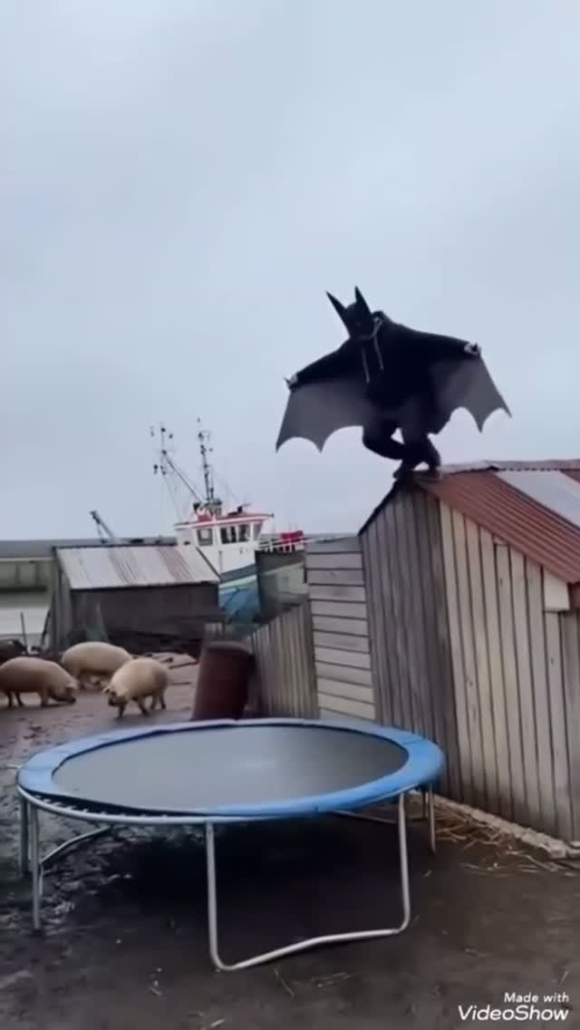 Улыбнитесь 🤣Долбаящеры