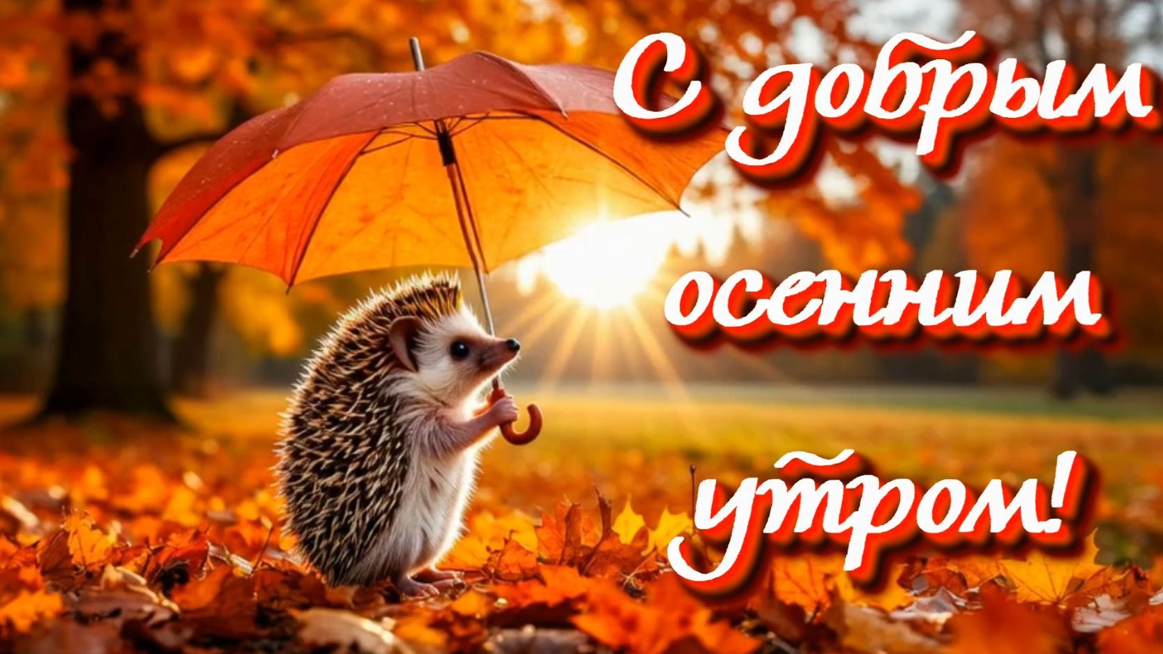 С добрым осенним утром! Музыкальное видео.