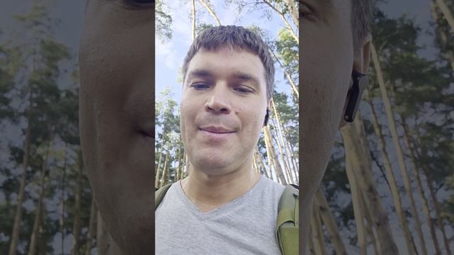 Схема покинутости