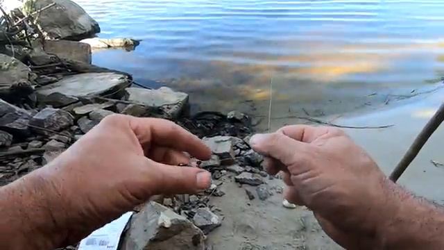судак на живца Секретная снасть для ловли судака на живца
