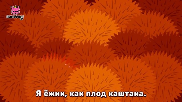 Прятки | Песни про Животных | Пинкфонг Песни для Детей
