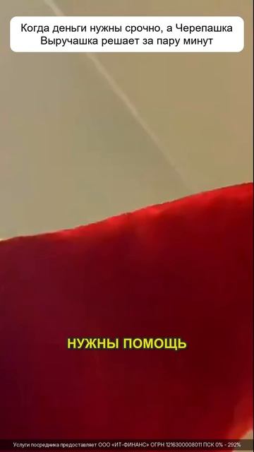 Черепашка Выручашка! Мы те кто помогает с деньгами!