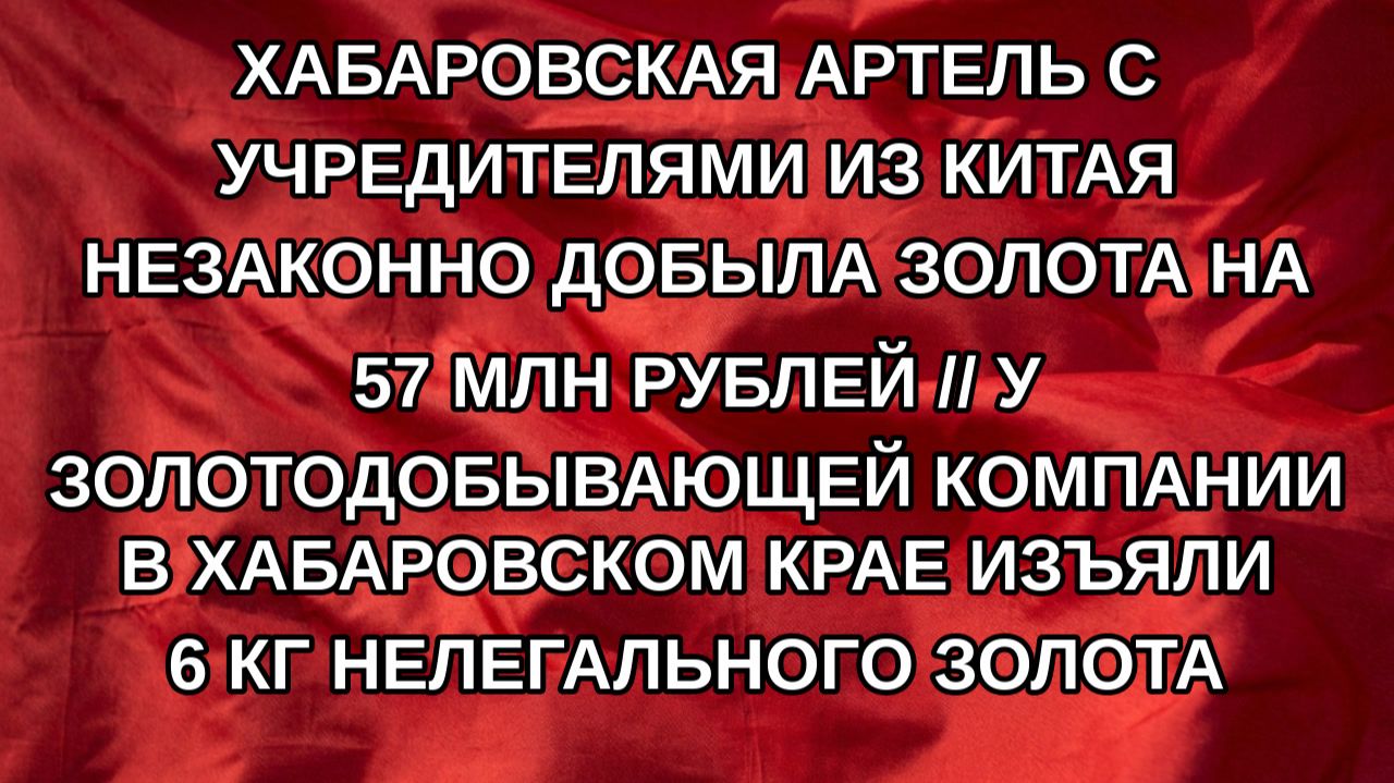 Хабаровская артель с учредителями из Китая незаконно добыла золота на 57 млн рублей // У золотодоб