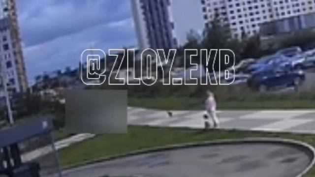 Появилось видео момента нападения на курьера на Широкой Речке