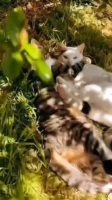 Любовь 🥰