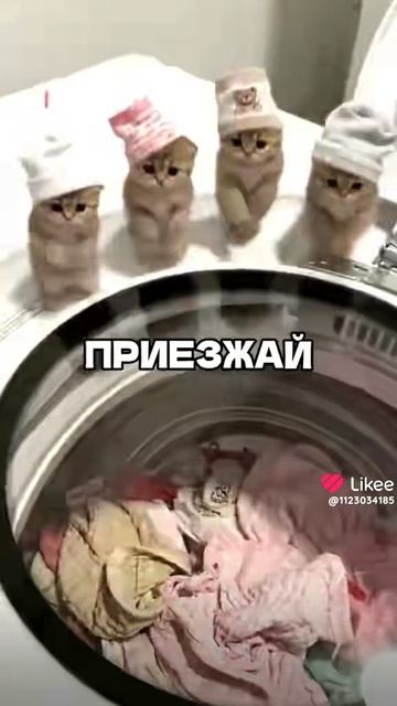 1000087406.mp4