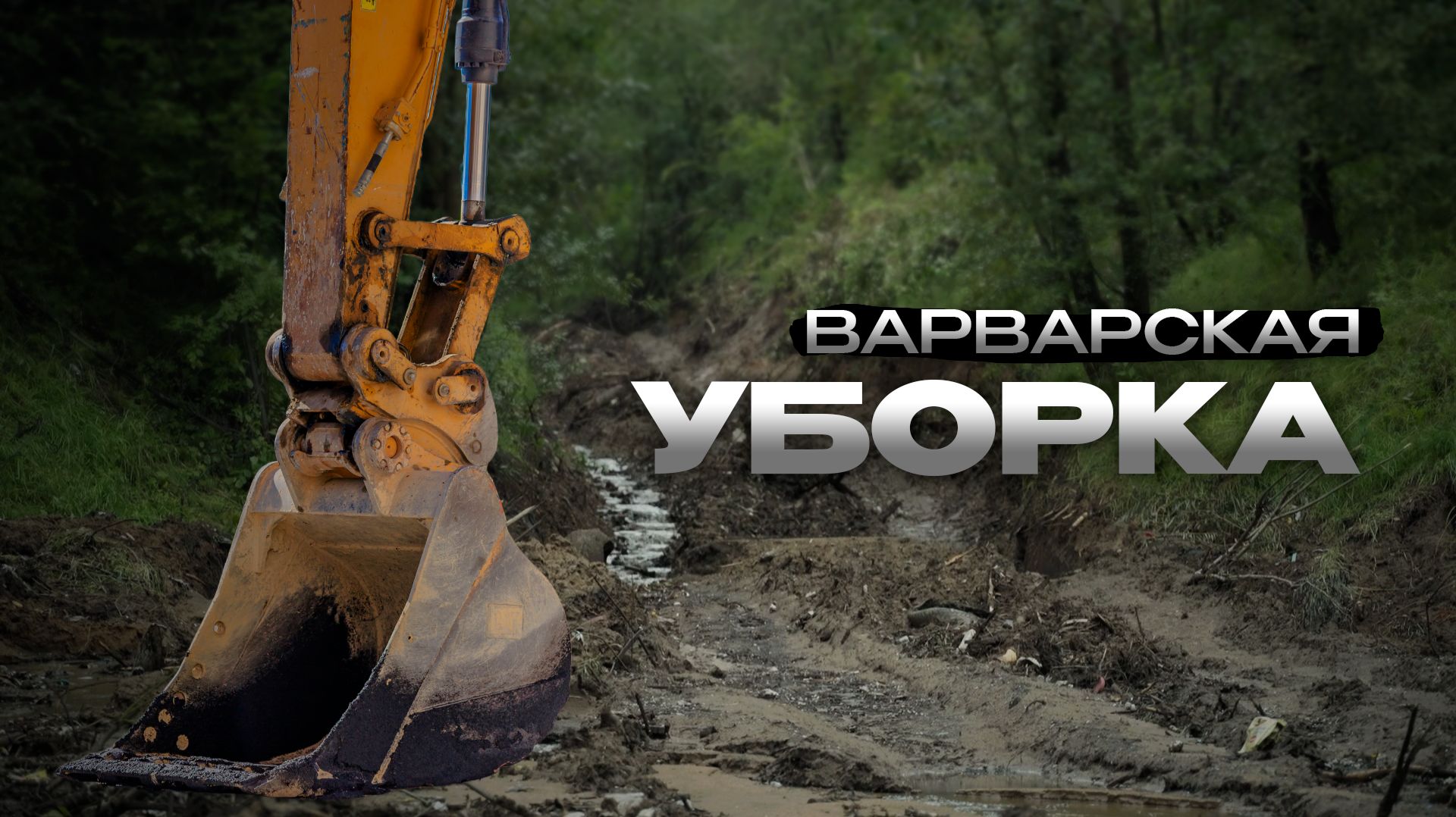 Жители Соснового Бора негодуют из-за оврага