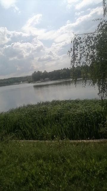 Интервью