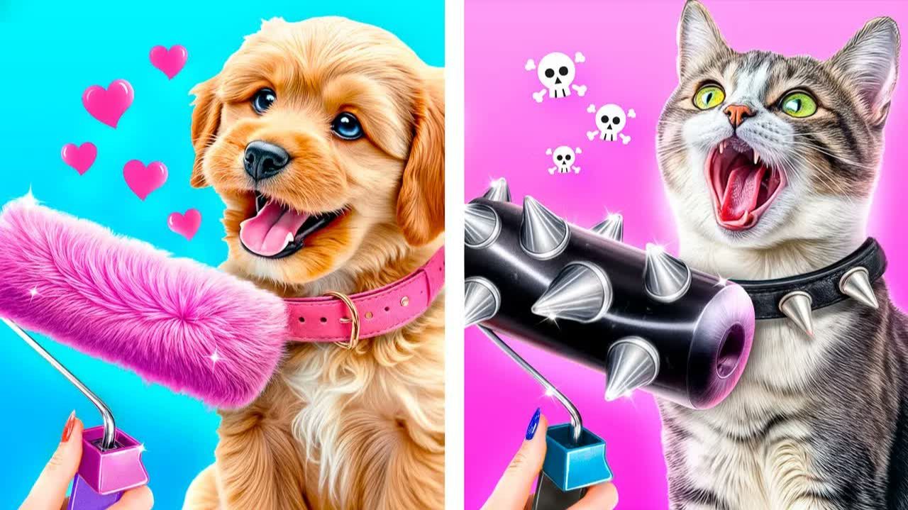 Хорошая собака Vs плохая кошка! Мы построили домики для домашних животных(1)