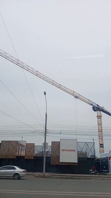ПОГНАЛИ ГУЛЯТЬ  В АВТОБУСЕ