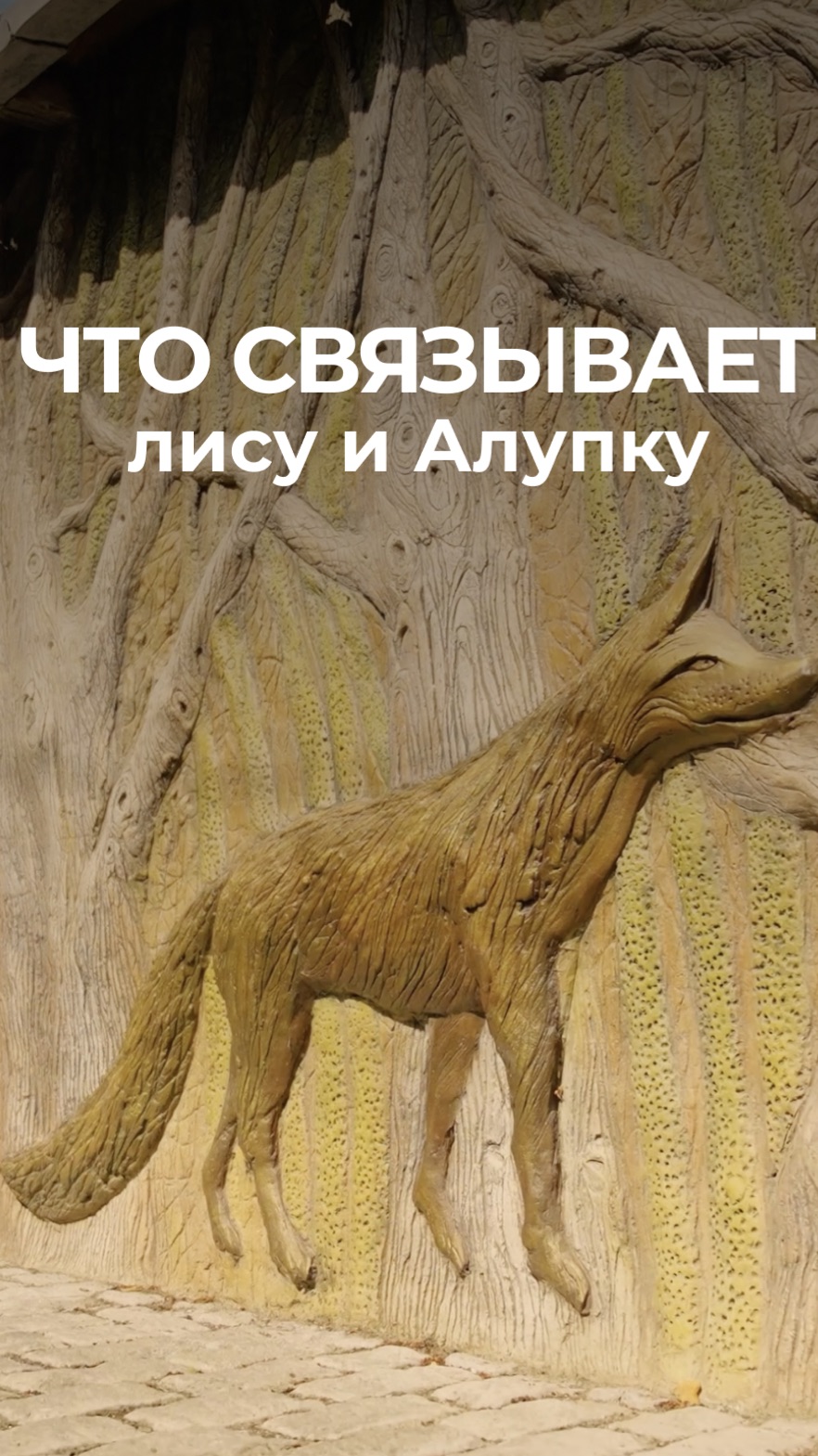 Знаете ли вы, почему этот южнобережный городок носит такое пушистое и хитрое имя? 🦊