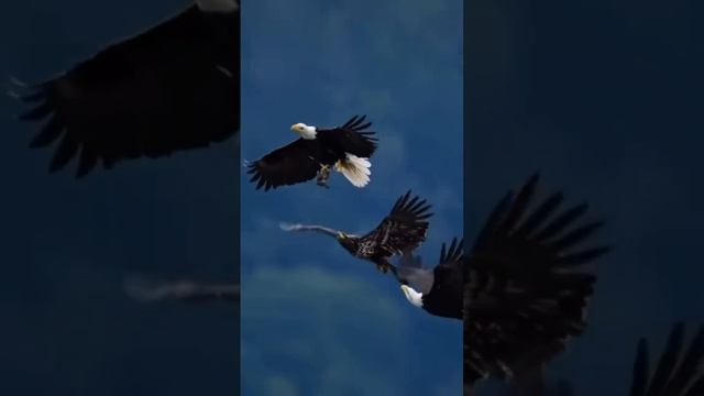 1000274780.mp4