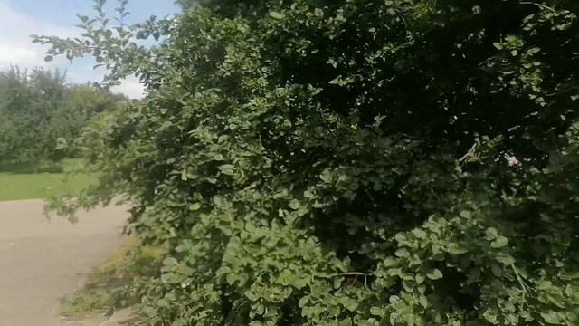 Интервью