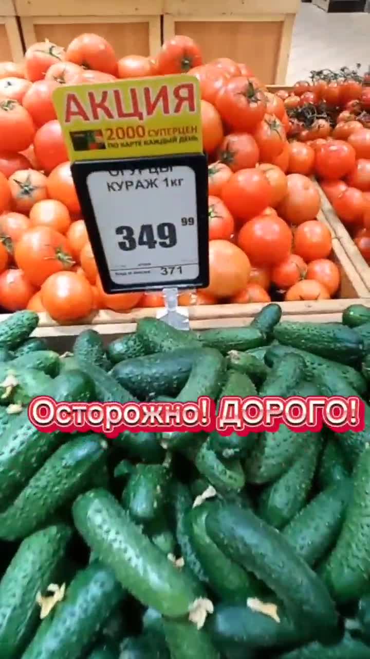 А мы с начала марта огурцы не покупаем. Все свое. Огурцы у дяди Вити 29.03.2023