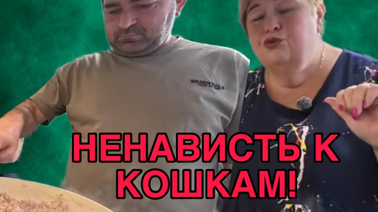 НОВАЯ РАБОТА МЕШАТЬ ФАРШ И НЕНАВИСТЬ К КОШКАМ. ОЛЬГА УРАЛОЧКА LIVE.