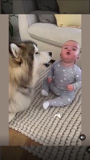 (нечего сказать)