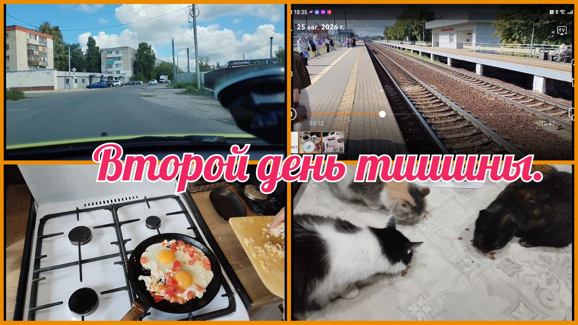 Второй день.Муж дал выходной.Приехала моя радость 😊