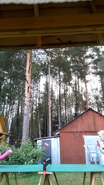 играем в настольный тенис