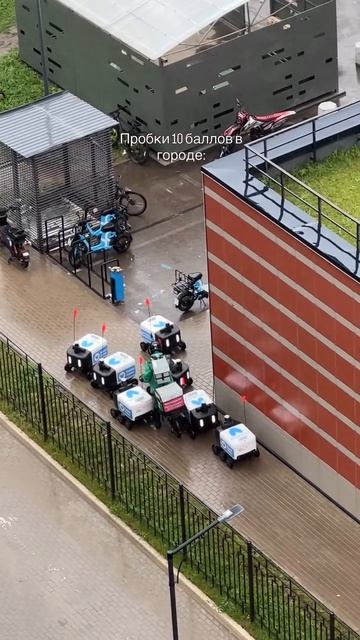 Роботы в Петербурге