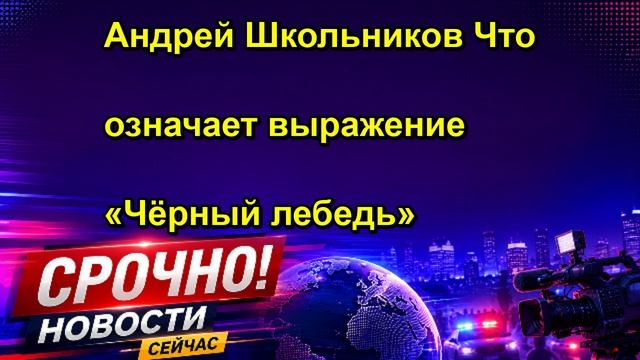 Андрей Школьников Что означает выражение «Чёрный лебедь»