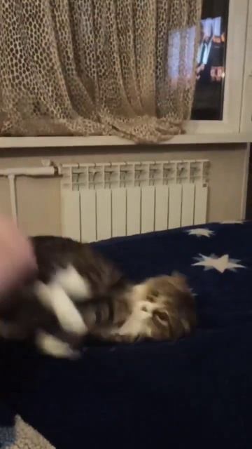 Хулиган Афанасий