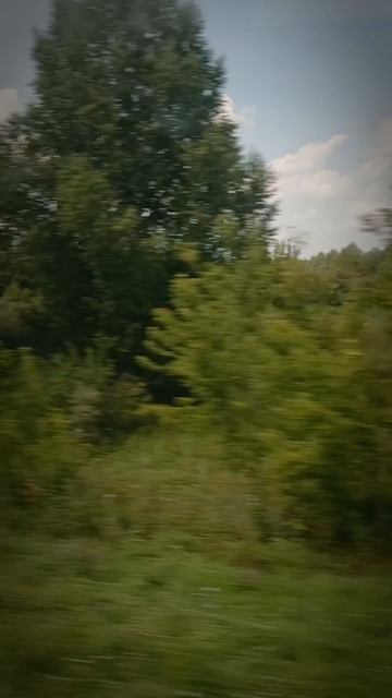 📍АЛТАЙСКИЙ КРАЙ