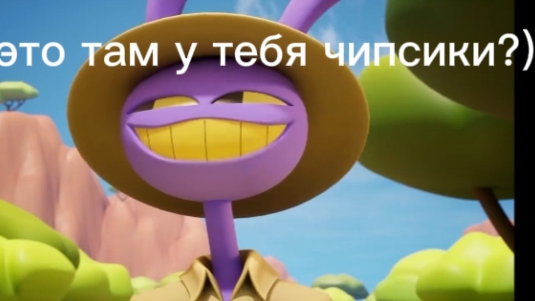 мем с котиком