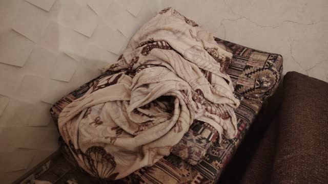 Покинутое кошачье гнездо. Пустой кокон сфинкса.