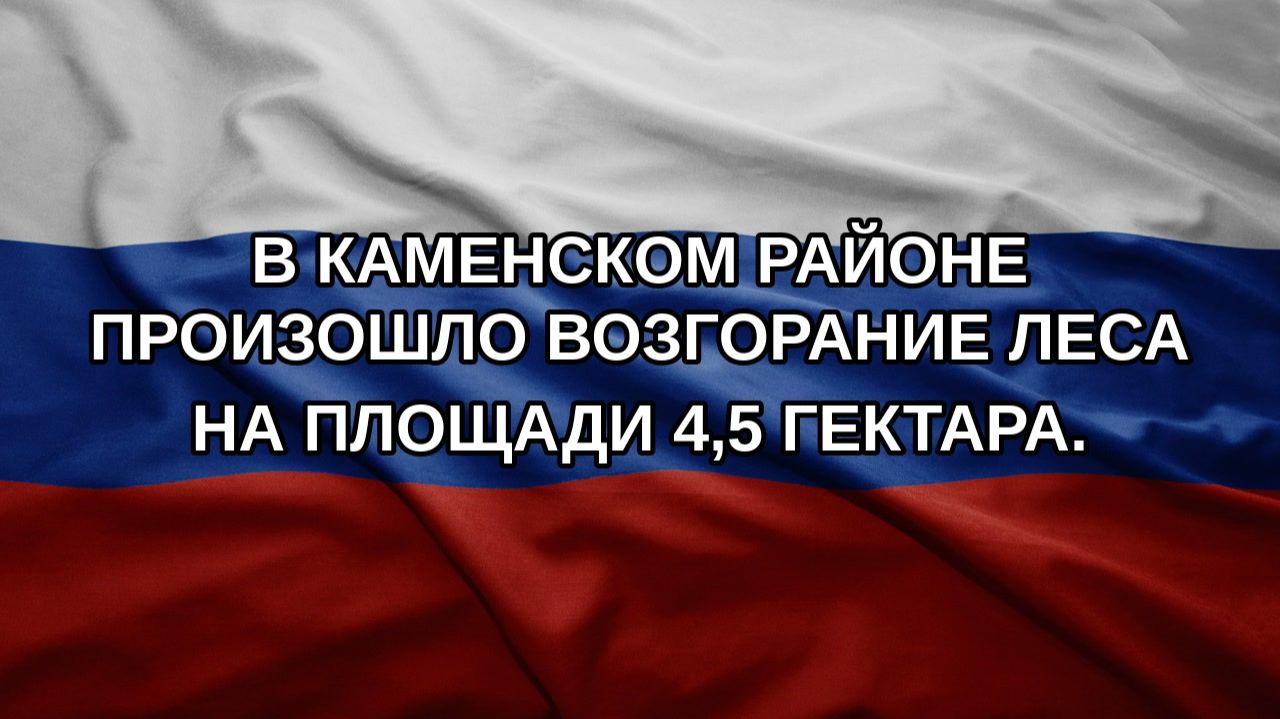 В Каменском районе произошло возгорание леса на площади 4,5 гектара.