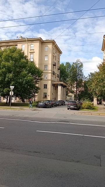 Бассет: капельку Васильевского острова...